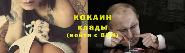шишки Абинск