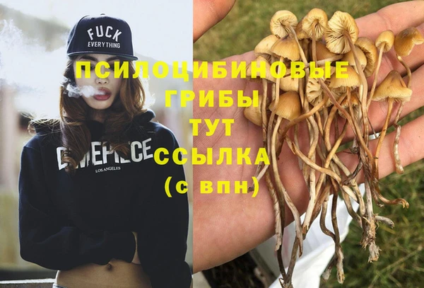 гашишное масло Осинники