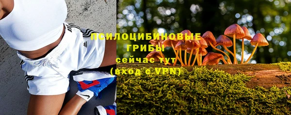 гашик Алзамай