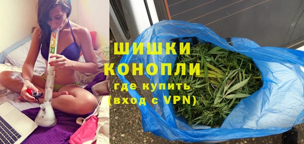 шишки Абинск