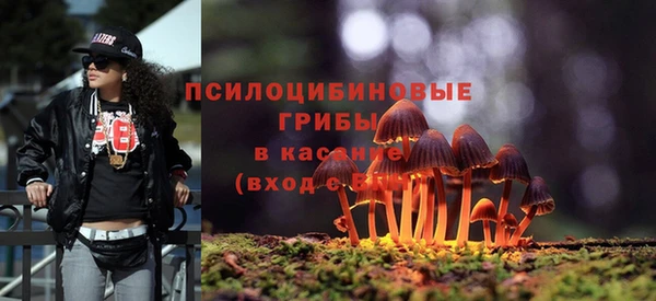 эйфоретик Пересвет